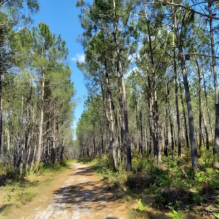 Le Marsalat - * Lanton