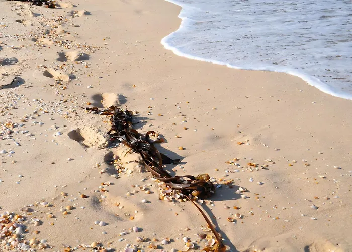 Le Marsalat - Feriehus Lanton