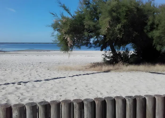 Holiday home Le Marsalat - Lanton